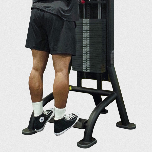 Machine Standing Calf Raise - Exercise Guide | Motra