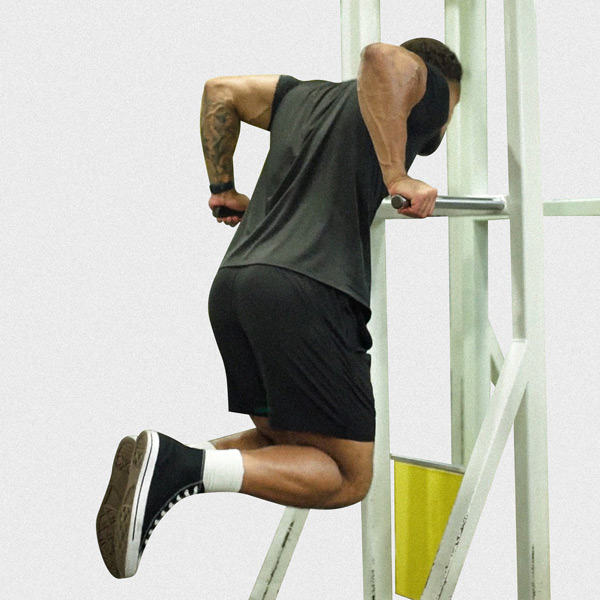 Dips - Exercise Guide | Motra
