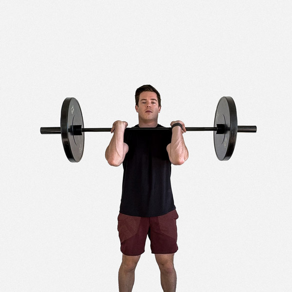 Barbell Muscle Clean - Exercise Guide | Motra
